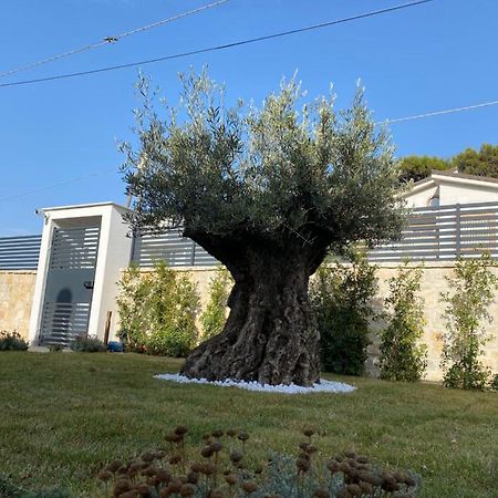 Villa Palladino Rooms Giovinazzo Kültér fotó