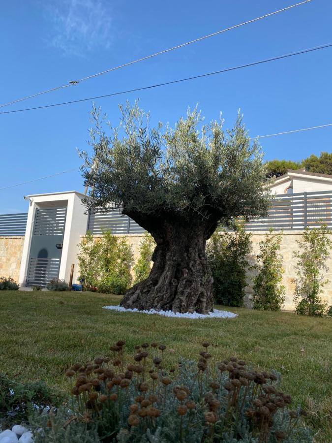 Villa Palladino Rooms Giovinazzo Kültér fotó
